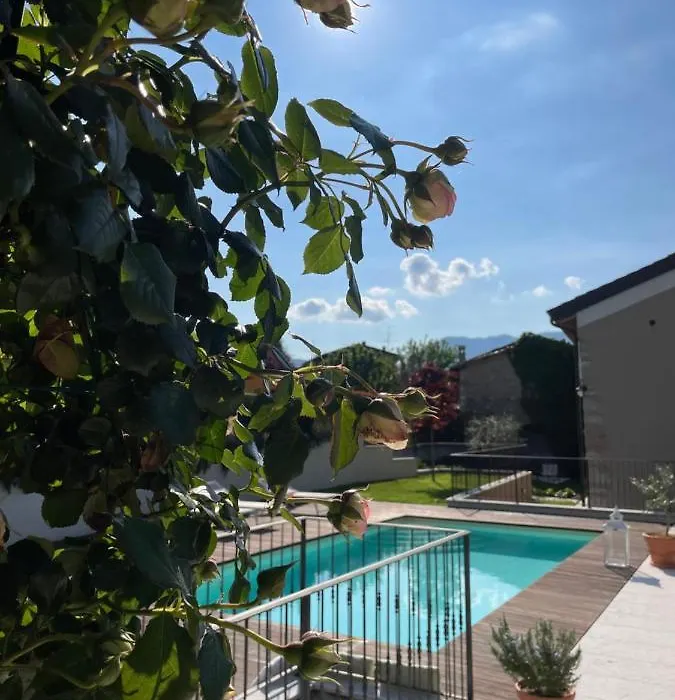 Corte Caiar Bed&Breakfast-1
