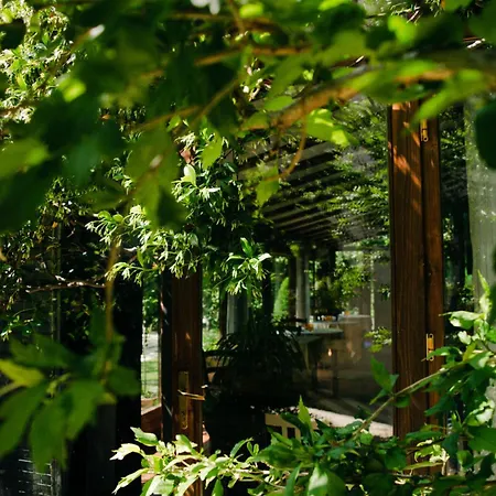 Rama Relais-3